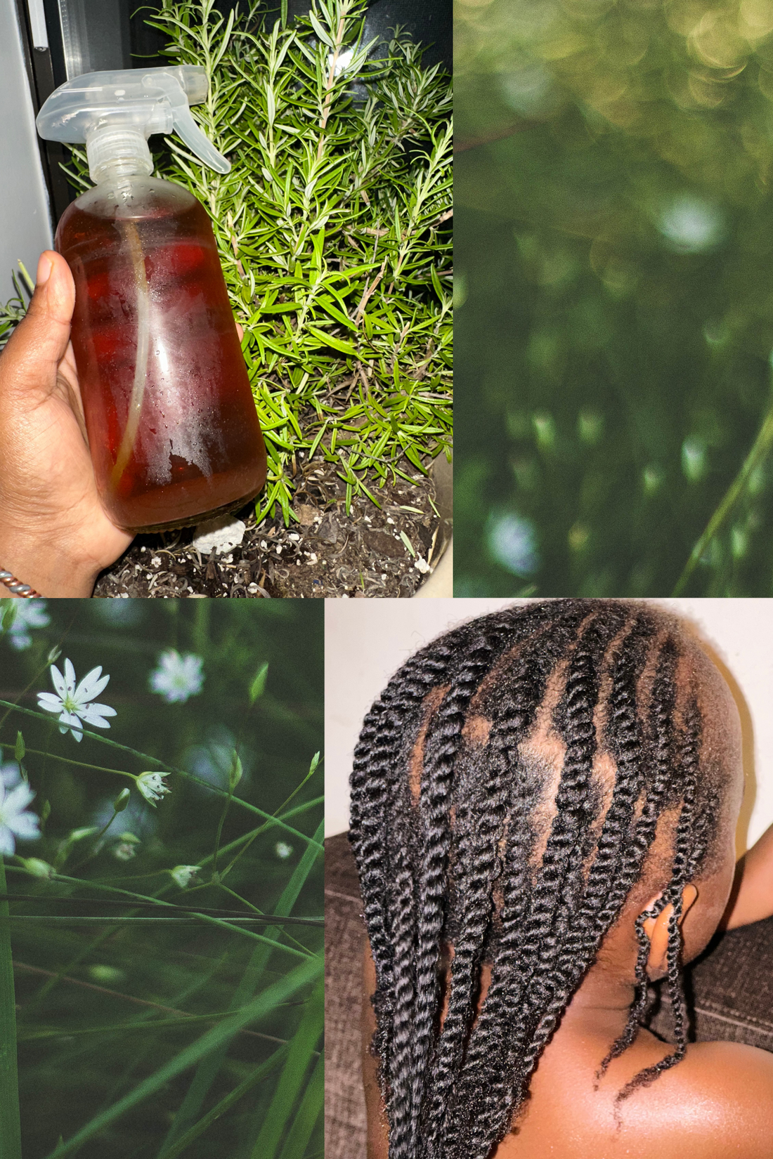 Rosemary&Clove Water Hair Spray