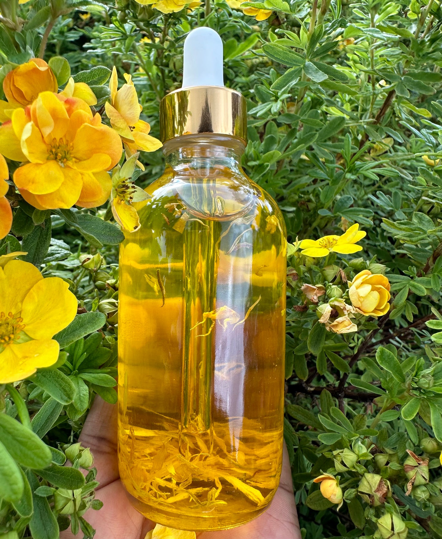 Dhahabu Body Oil